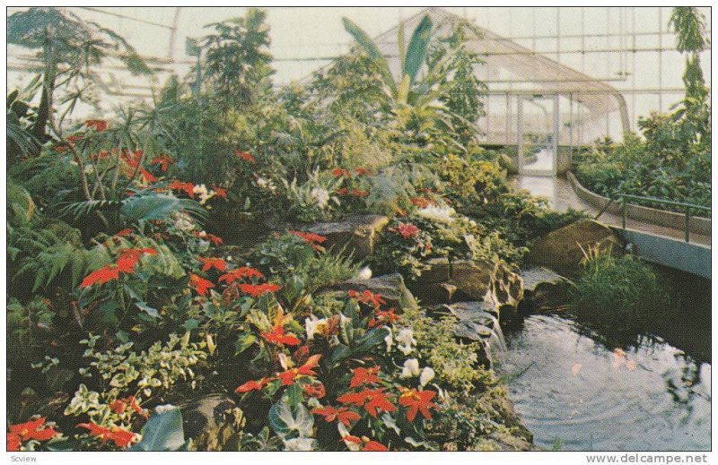 CALGARY, Interior of the tropical aviary at the world famous Calgary Zoo, Alb...