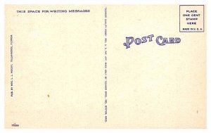 Postcard COURT HOUSE SCENE Tallahassee Florida FL AS6067