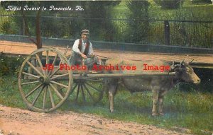 FL, Pensacola, Florida, Rapid Transit, Oxen Drawn Cart, Curt Teich