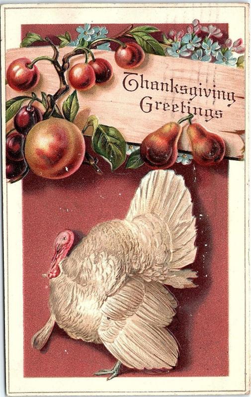 Postcard Thanksgiving Greetings White Turkey Fruit Branch 1910 Q6