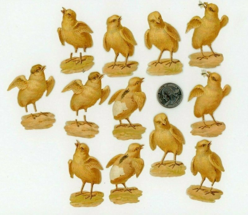 1870's-80's Lovely Chick Chickens Lot Of 12 Victorian Die Cut X115