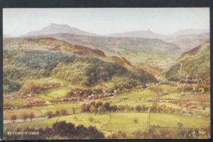 Wales Postcard - View of Bettws-Y-Coed     RS17402