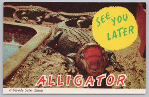 Animal~See You Later Alligator Salute~Florida State Series~Vintage Postcard