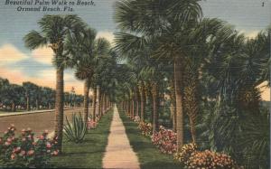 Beautiful Palm Tree Walk to Beach - Ormond Beach FL, Florida - pm 1957 - Linen