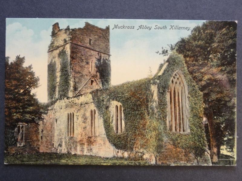 Ireland KERRY Muckross Abbey South Killarney - Old Postcard by Chas L. Reis & Co 