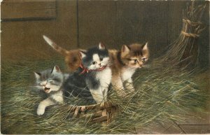 Undivided Back Cat Art Postcard; Variety of Kittens In Nest of Straw, PVK-Z 7477