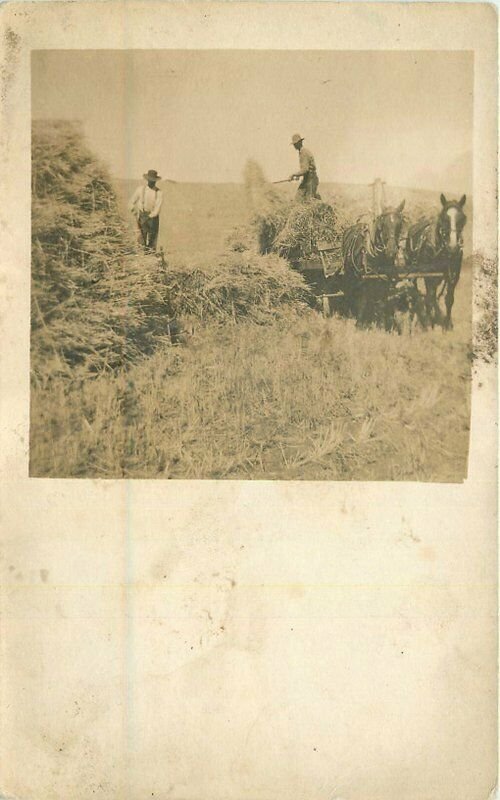 Call of Desert Mojave Desert California RPPC Photo Postcard 20-836