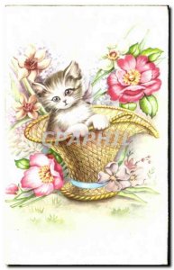 Old Postcard Cat Kitten