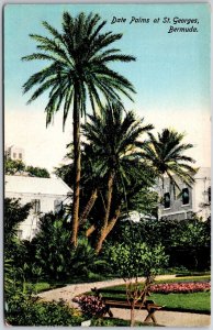 Date Palms At St. Georges Bermuda Landscaped Grounds Houses Postcard