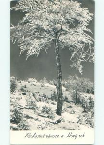 old rppc NICE VIEW Prague - Praha Czechoslovakia Czech Republic i2870