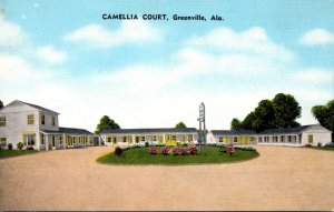 Alabama Greenville Camelia Court