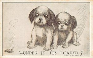 WONDER IF ITS LOADED-PUPPIES LOOK AT SMOKING CIGAR-ROTH & LANGLEY COMIC POSTCARD