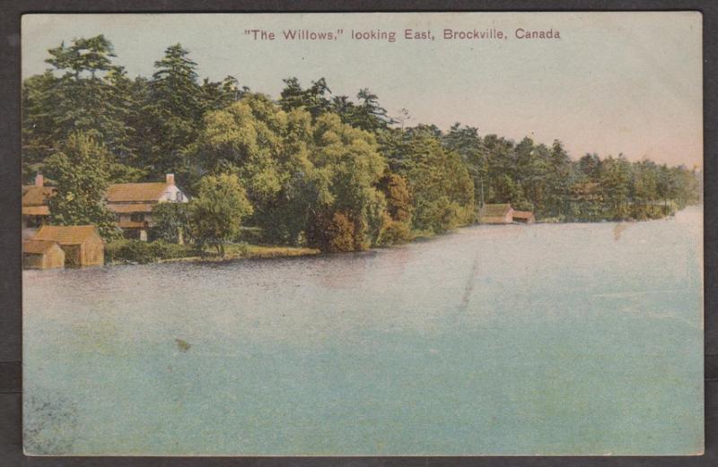 The Willows Looking East Brockville, Ontario 1905 Used