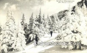 Winter Wonderland, Mt Mansfield, VT USA Real Photo, Skiing 1955 two creases l...