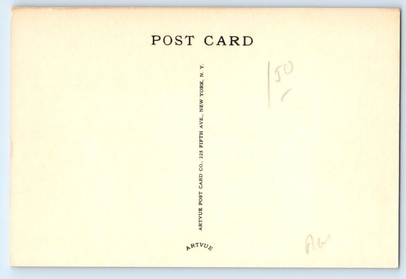 1940 Custer County Nebraska NE Postcard New Sod Roof Butcher Collection Artvue