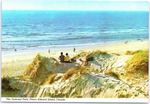 VINTAGE CONTINENTAL SIZE POSTCARD THE SAND DUNES OF PRINCE EDWARD ISLAND CANADA