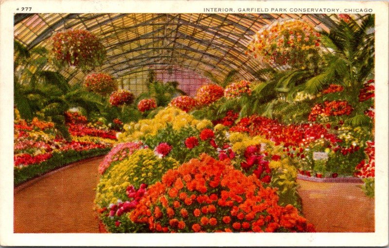 Illinois, Chicago - Garfield Park Conservatory - [IL-154]