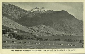 new zealand, Pasturelands Sheep, Home of the Finest Lamb of the World (1930s)