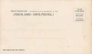 American native ethnic types sioux and papoose 1900`s postcard