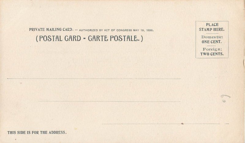 American native ethnic types sioux and papoose 1900`s postcard