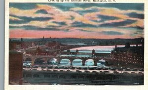 Vintage Postcard Looking Up The Genesee River Rochester New York NY Manson News