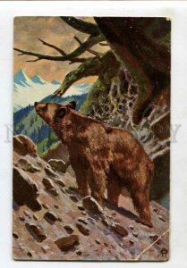 3127684 Brown BEAR vintage Russian color PC