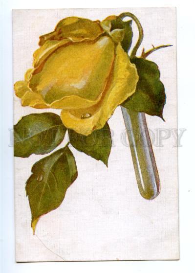 167328 Yellow ROSE by ENDAUROVA vintage Russian PC