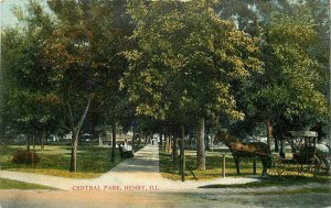 Central Park Henry Illinois Ironmonger's City Drug #574 1909 Postcard 20-1073