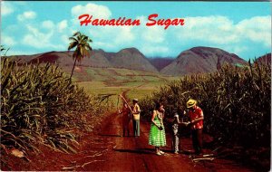 Postcard PEOPLE SCENE State of Hawaii HI AK8732