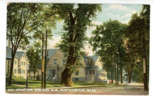 MA - Northampton. Jonathan Edwards Elm