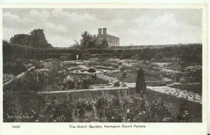 Middlesex Postcard - Hampton Court Palace - The Dutch Garden - TZ12312