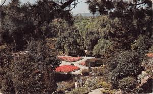 B95604 the rock garden hamilton ontario   canada