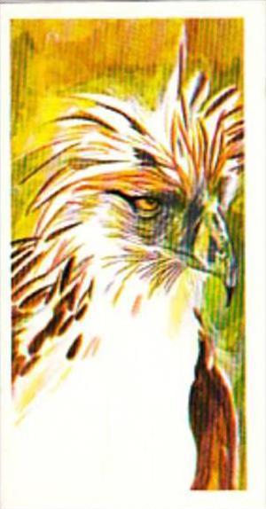 Brooke Bond Tea Trade Card Vanishing Wildlife No 11 Monkey Eating Eagle