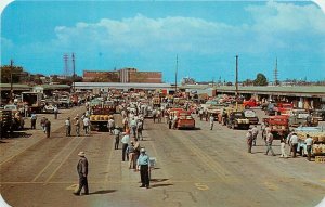 Postcard 1950s Michigan Benton Harbor Fruit Market Penrod Dexter MI24-4258