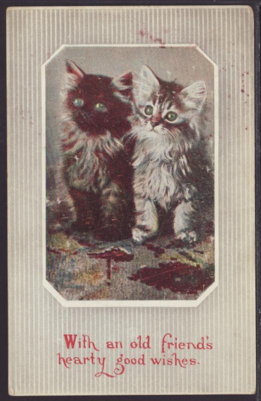 Kittens Postcard