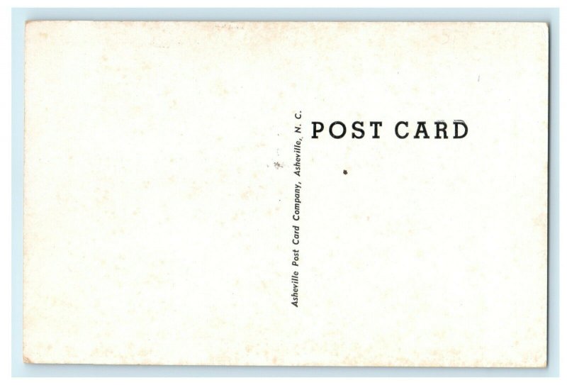1911 Boat Landing in Fairy Stone State Park, Patrick County Virginia VA Postcard 