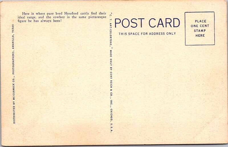 Postcard ANIMAL SCENE Amarillo Texas TX AK0833