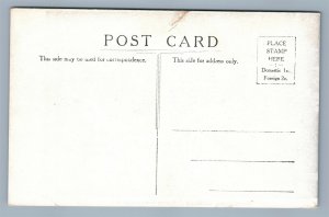 FLEMINGTON NJ RIVERVIEW FARM ANTIQUE POSTCARD