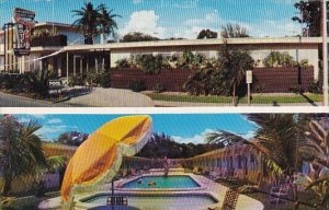 Cavalier Motel With Pool Saint Petersburg Florida 1961