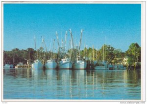 Grand Strand Beaches, The Fishing Fleet Is In, Myrtle Beach, South Carolina...