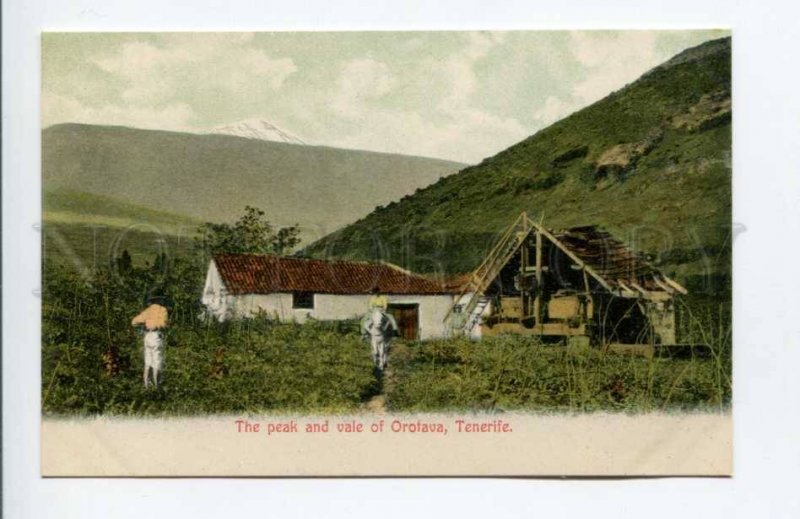 424409 Spain Canary Islands Tenerife peak and vale of Orotava Vintage postcard