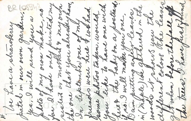 br105943 illecillewaet valley and loop glacier canada