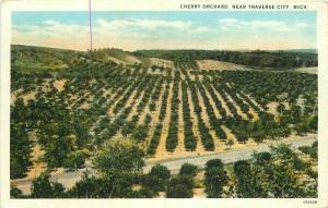 Cherry Orchard Traverse City Michigan Farm Agriculture Teich  Postcard 5986
