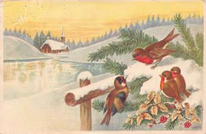 Winter Greetings Birds Holy Tree River Church 1926 vintage postcard B920