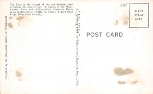 Tiger Philadelphia Zoo Tiger Unused 