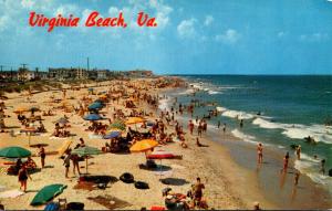 Virginia Virginia Beach Looking North