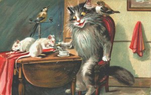 Maurice Boulanger Anthopomorpic Cat With Mice, Bird Vintage Postcard 03.80