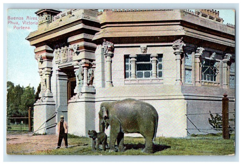 C1910s Elefante Escena Buenos Aires Phua victoria Portena Argentina postcard 