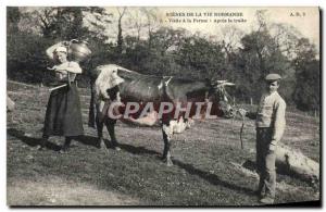 Old Postcard Folklore Scenes from the Normandy tour life is firmly After milk...