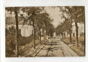 3146759 Ukraine ODESSA LUZANOVKA Sanatorium alley Vintage PC